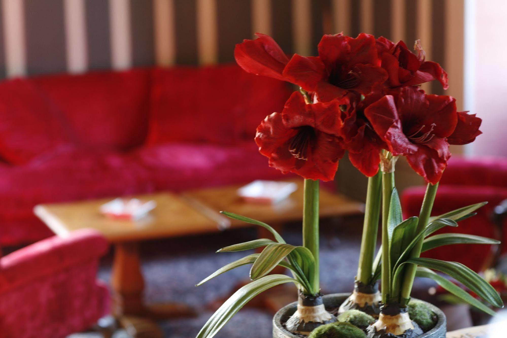 Hotel Chateau De Castel Novel - Les Collectionneurs Varetz ภายนอก รูปภาพ